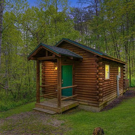 Blue Rose Cabins - Cozy Cabin โลแกน ภายนอก รูปภาพ